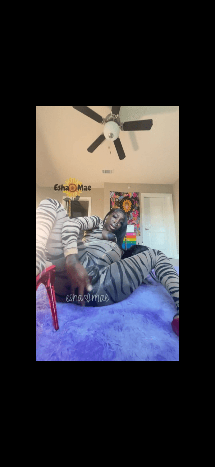 Sexy Petite Preggo Dark Chocolate in a zebra print bodysuit