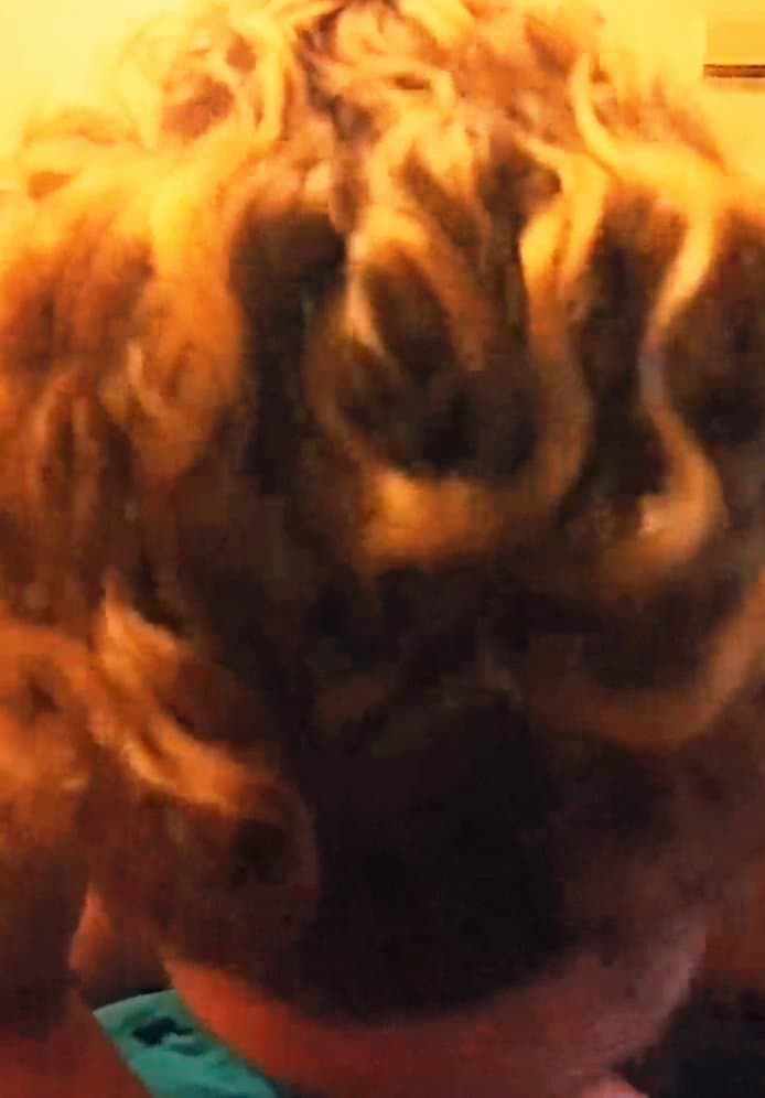 Horny wife love to suck cock horny blowjob amateur pussy hot