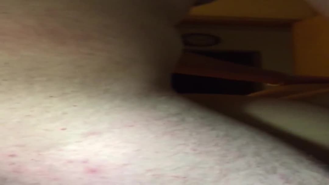 Brunette Amateur Girlfriend Blowjob And Fucked Doggy