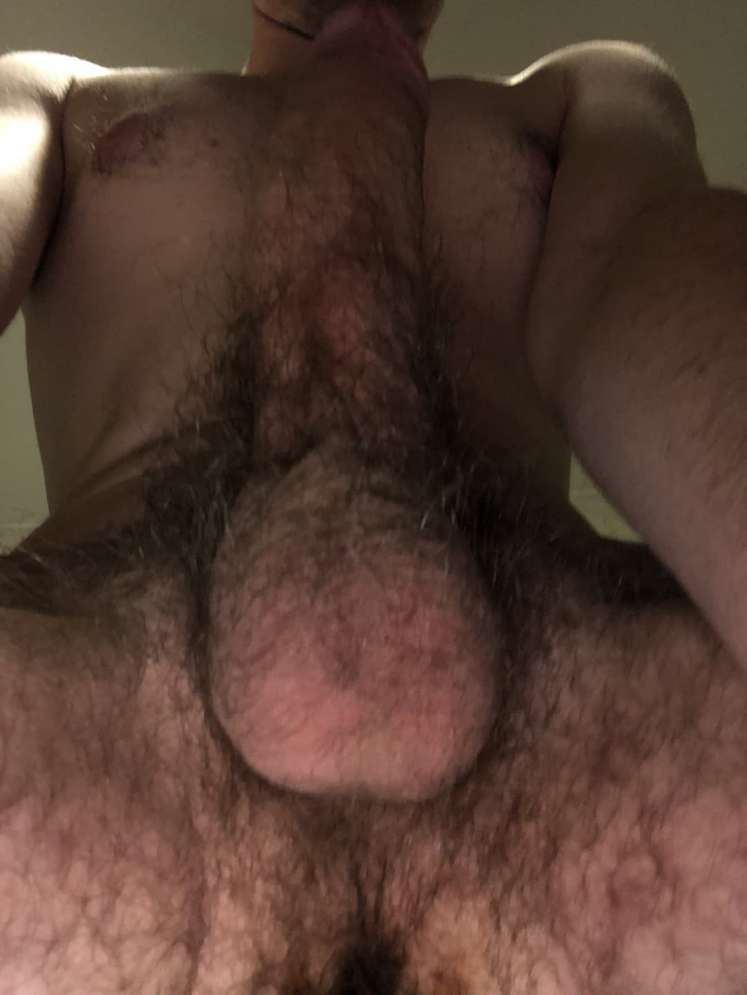 Click to view full size Hairy male sex toy here to please it’s owner