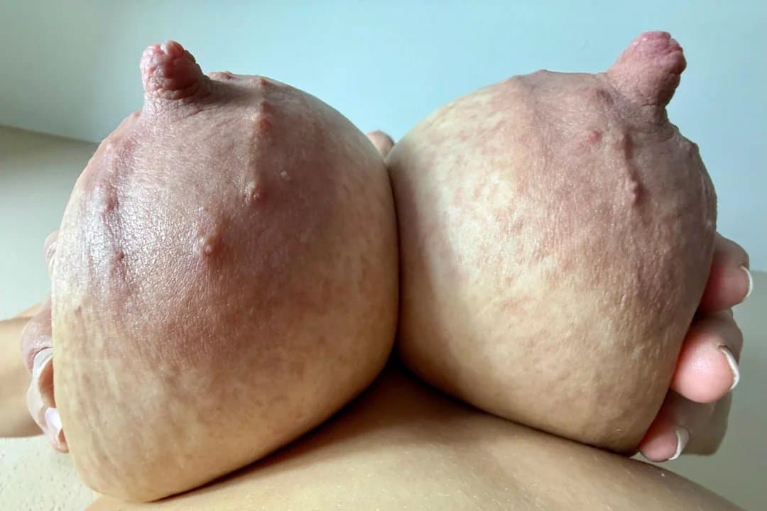 Big Cow Udders with Hard Nipples