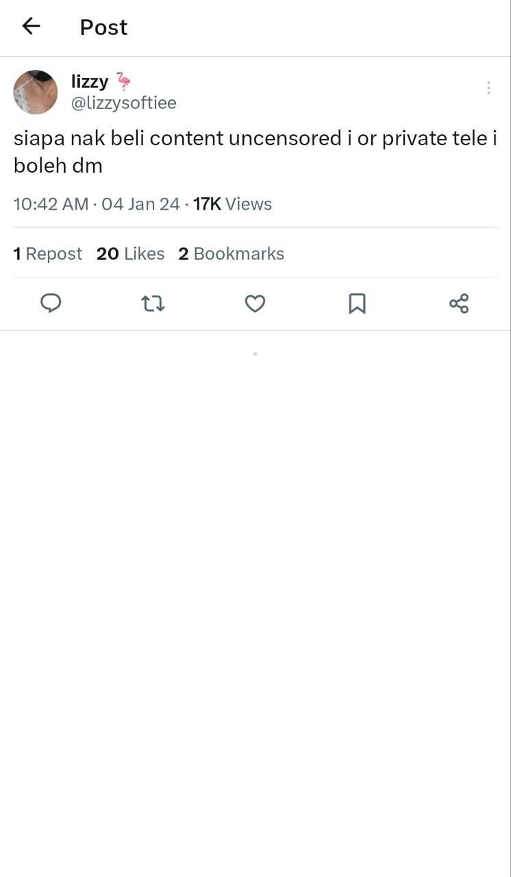 MALAY DS LIZZY UNCENSORED (4VIDS)