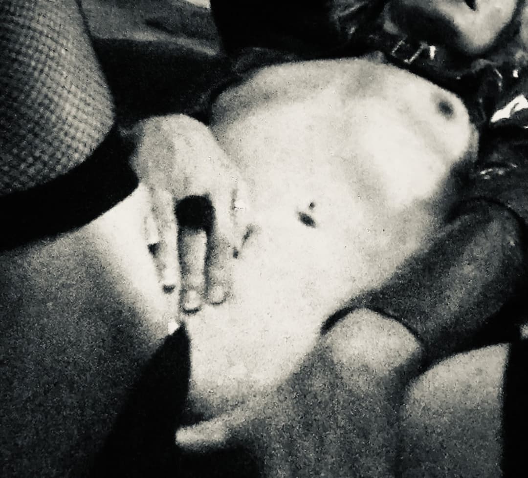 English Amateur milf archives pussy tits arse and full body true amateur images uk