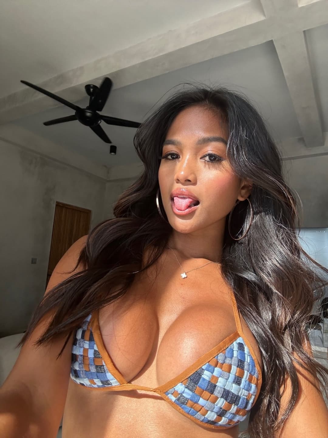 perfect brown nipples on this brown bunny