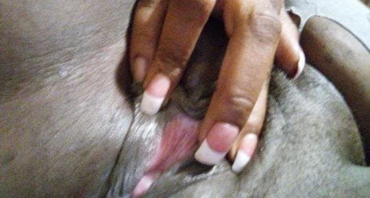 Sexy African Escorts