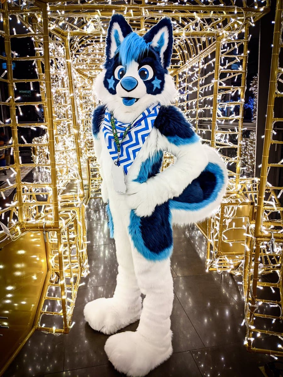 [FURRY] ??? vietnamese nonbinary femboy with a cute face (ņöväfłüffÿħüşķŷ)