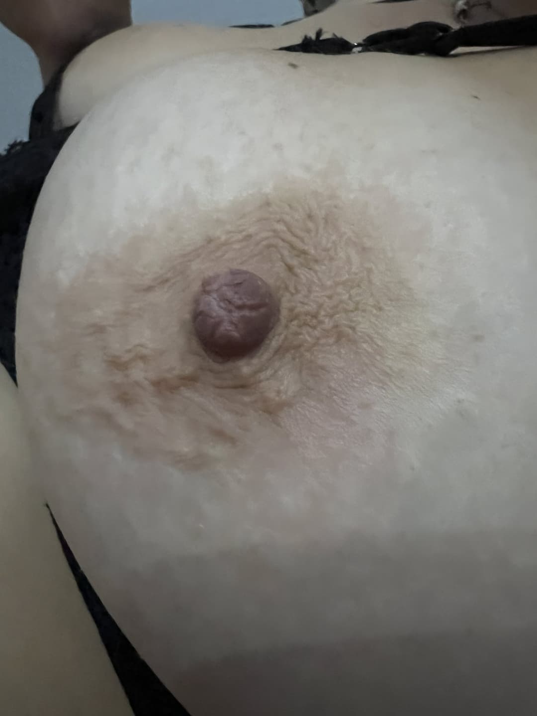 Perfect Natural Tits Boobs