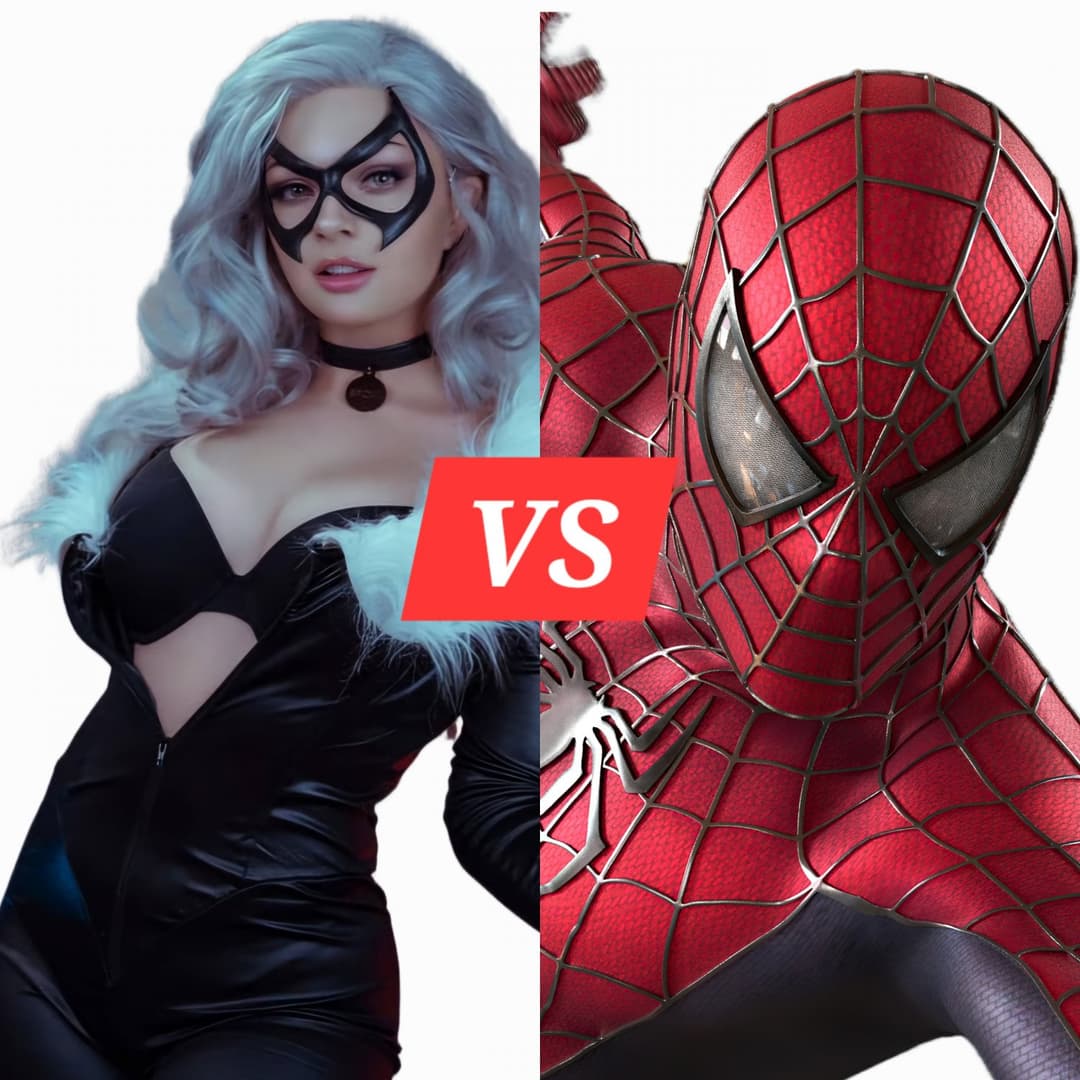 Black Cat Vs Spider-man