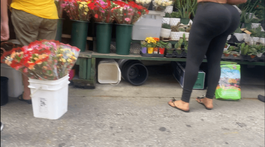 Typical Ny Big Booty Dominican