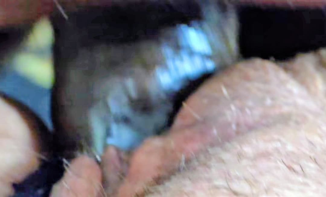 Black Reddit Fan Back Seat Of my Car meet up Fucked My Butthole chrissy az Hot Wife