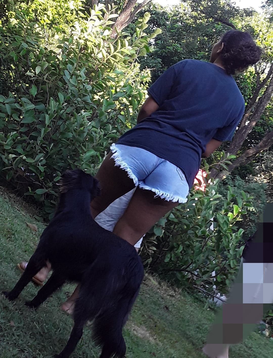 Morena Rabuda deliciosa com seu Shortinhos Safado