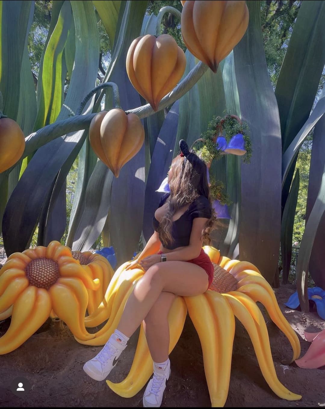 “Daisyyyraeee” scams by advertising premium but doesn’t sell anything