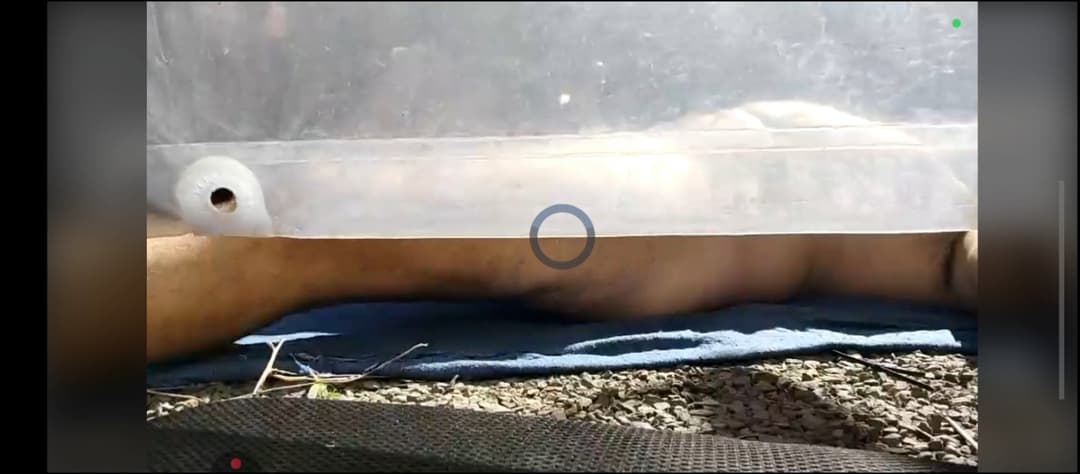 Atención: ¡Fotos de un hombre maduro transmitiendo en vivo un video inédito para esta plataforma!