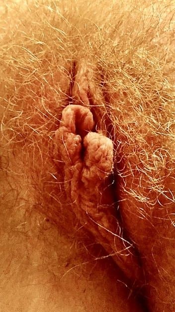 Nerdy Hairy Redhead Slut Lisa Loves Cock