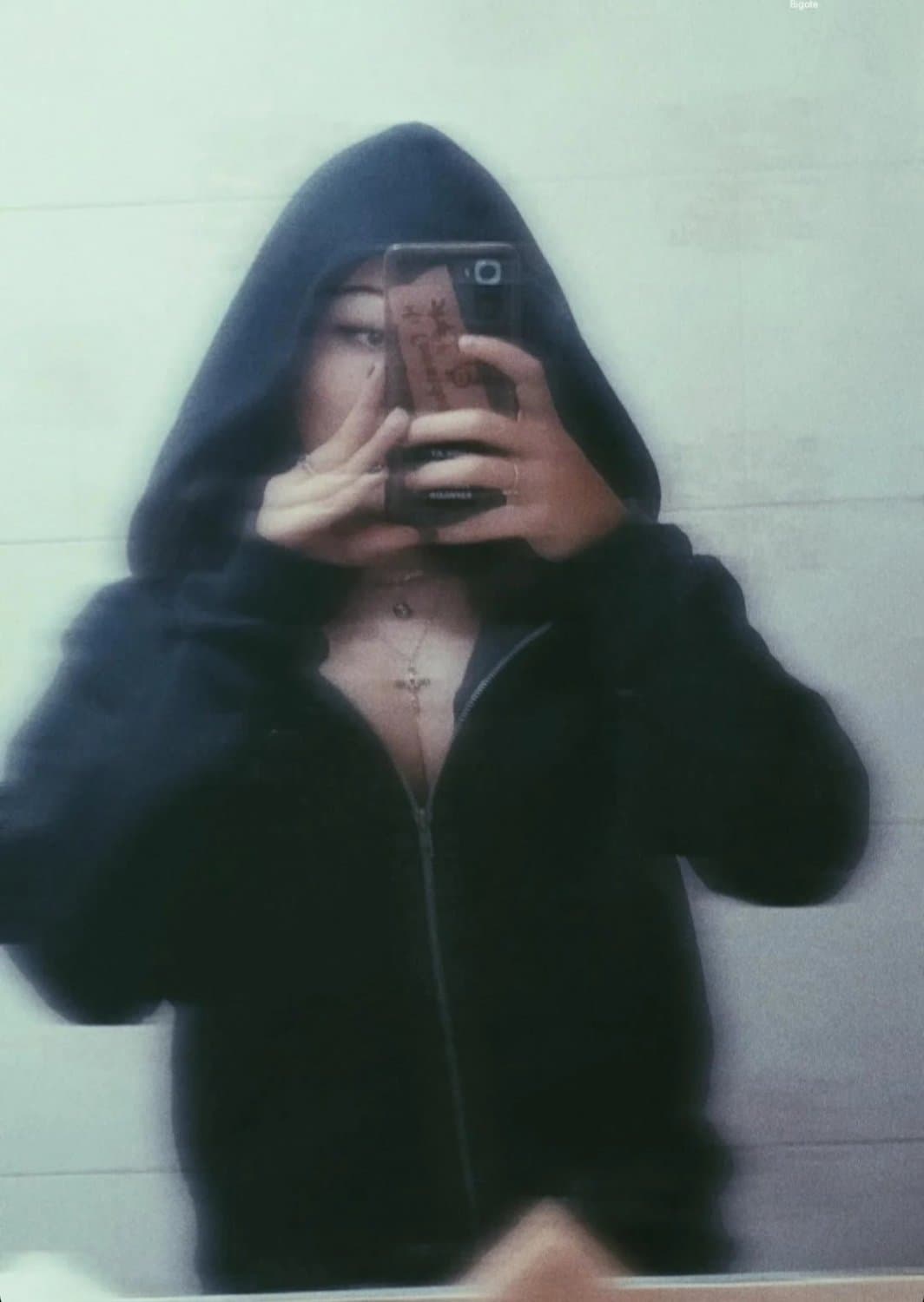 ig de la perrita de hikari ???