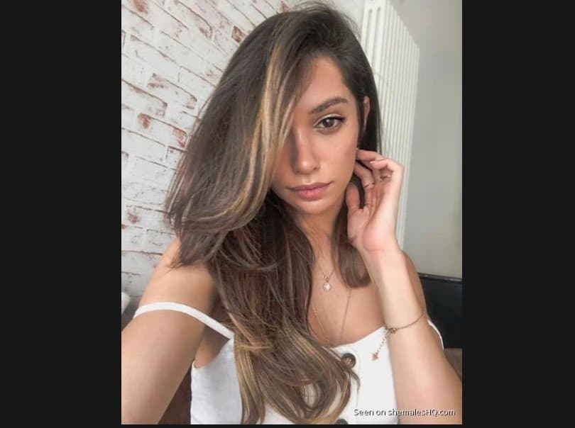 stella fontes 51-497