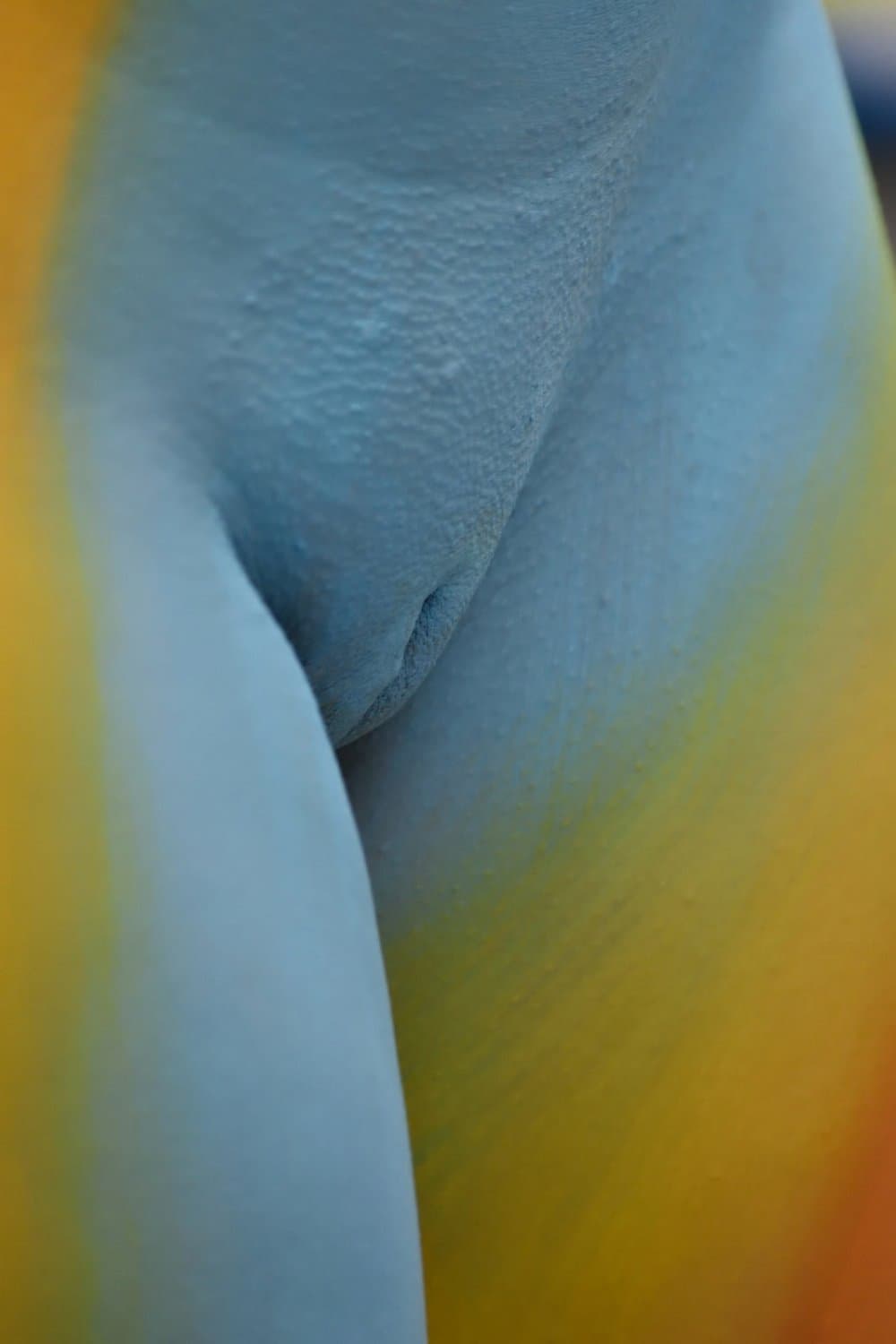 before-and-after-full-nude-body-paint