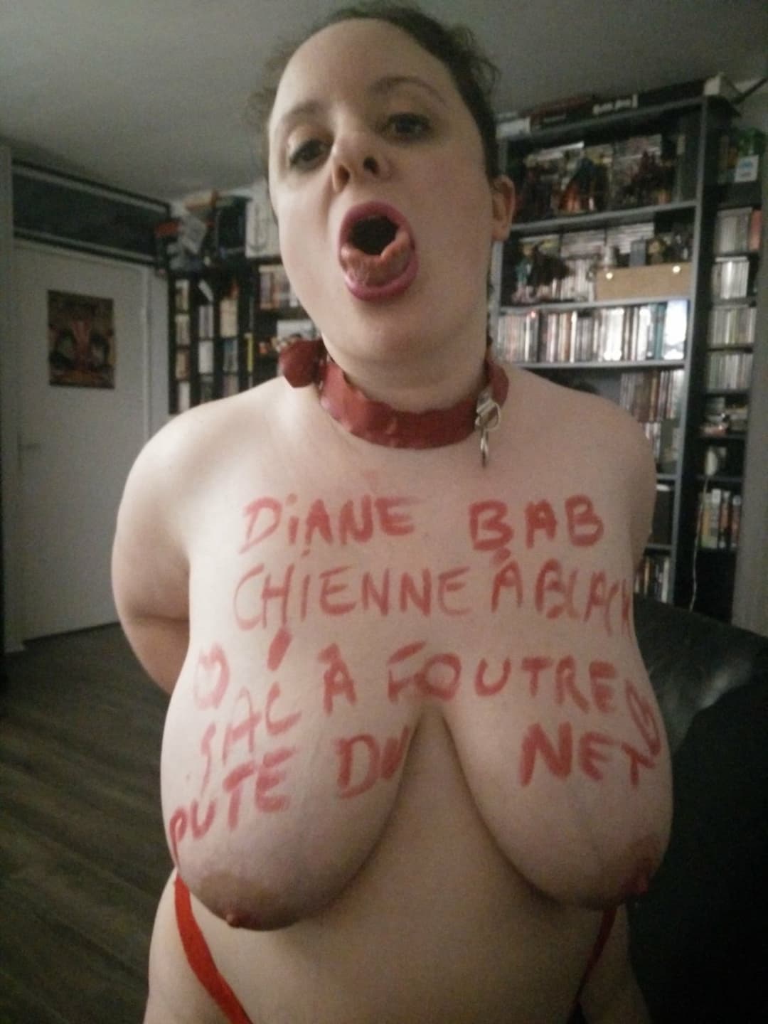 Diane Henrotte *MegaMIX*-#010