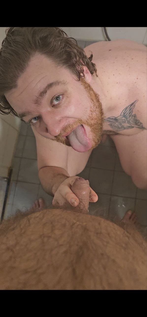 exhibition of the great faggot.    ?? ??Rijswijk30 Edwin Antonio se johannes  ???? ????