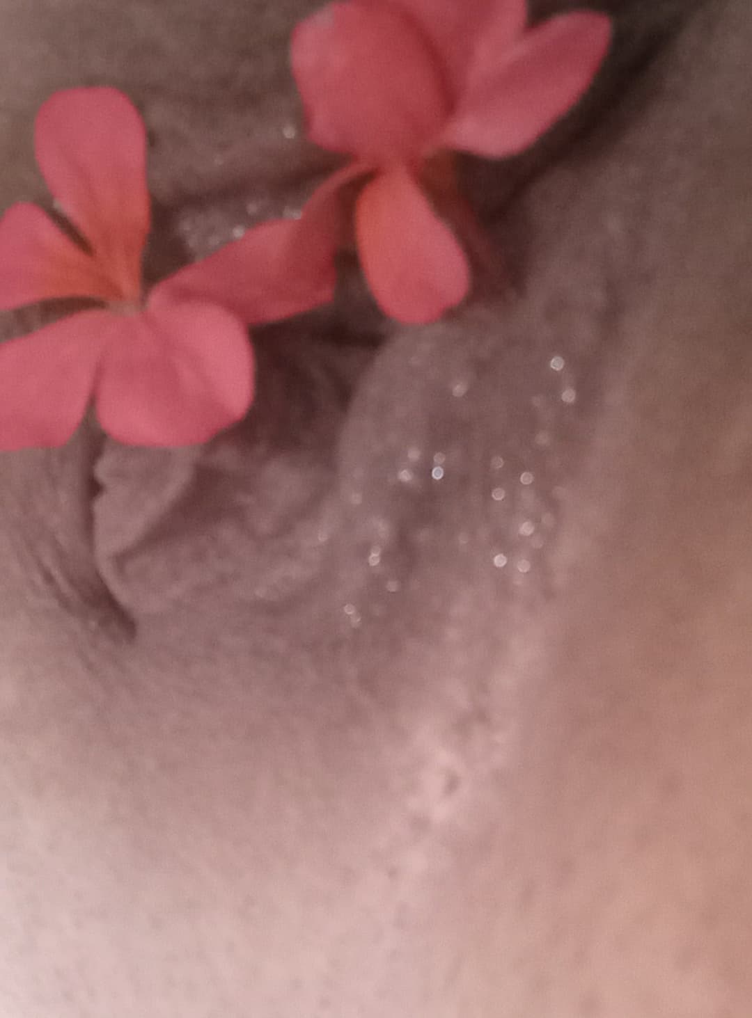 Leave me like a crushed flower