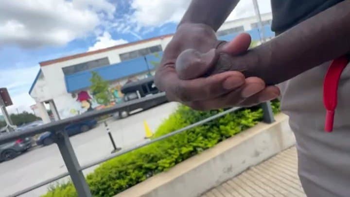 Shark Attack (WILD!)