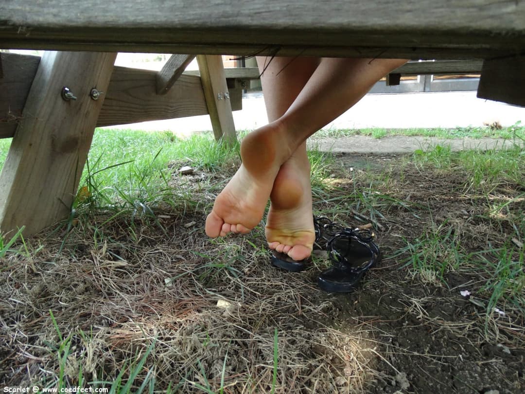 Click to view full size Scarlet