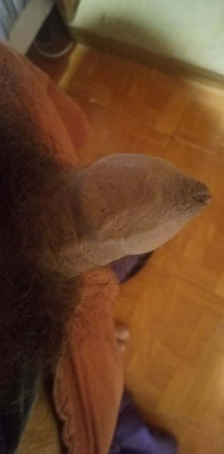 me llamo yoni, joven, 29 años, busco sexo con mujeres de toda edad, wilde, buenos aires, argentina