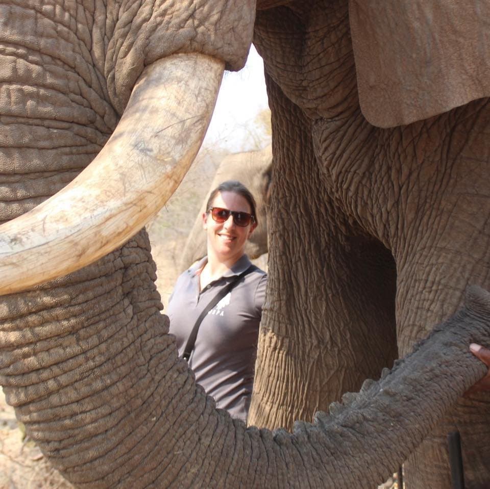 Katie  and Sandra travel all the way from the pacific northwest to show their tits off at mardi gras