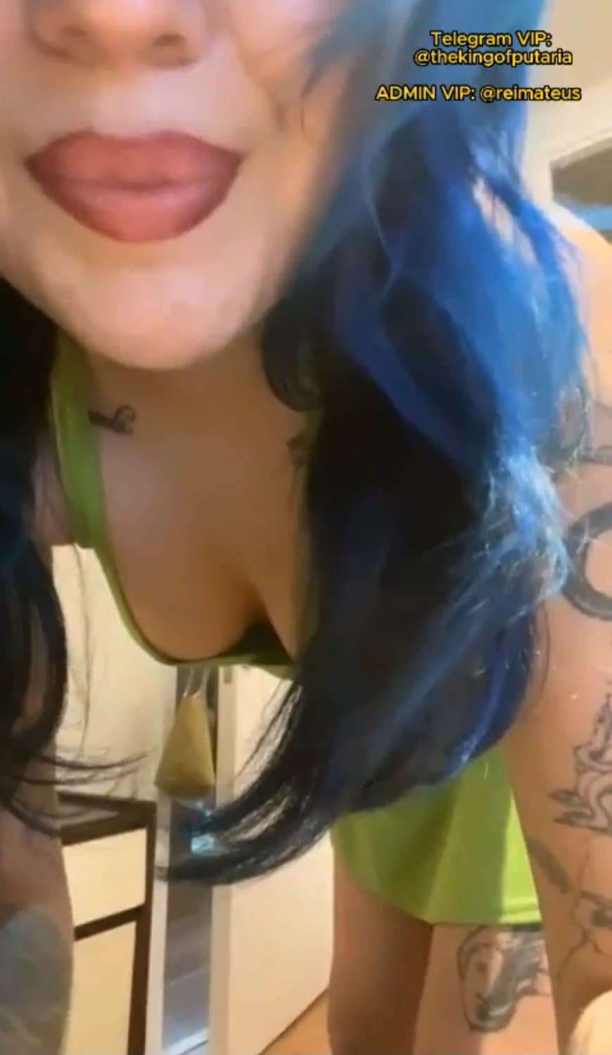 Malayedra chilena gogodancer