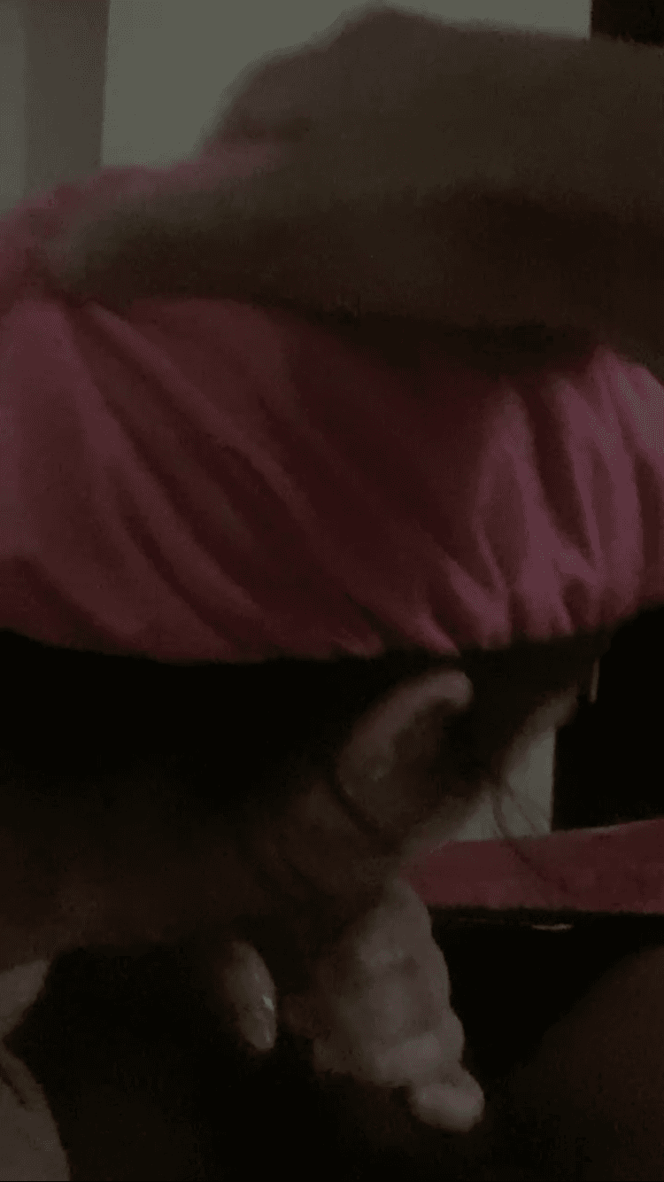 Ugly hoe deepthroat practice