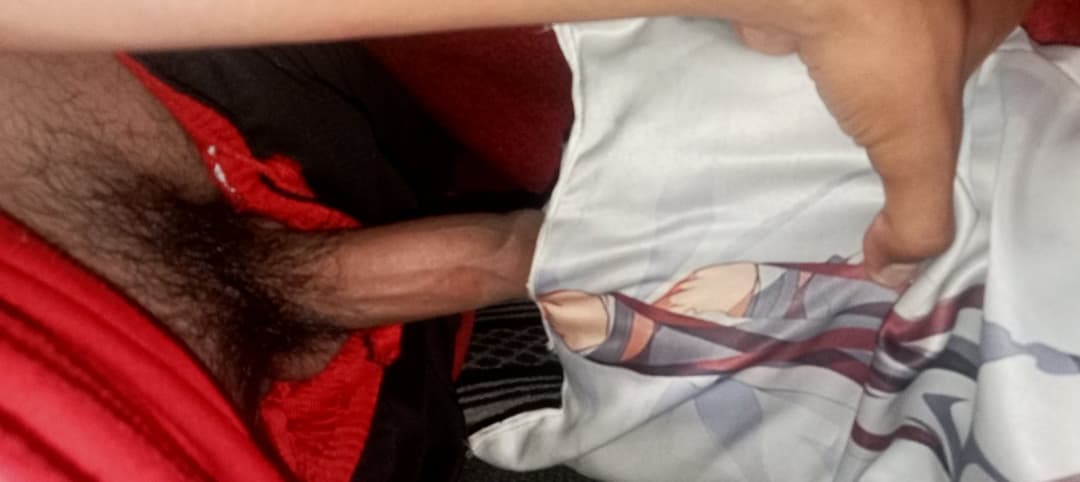 Mikasa dakimakura            Please share