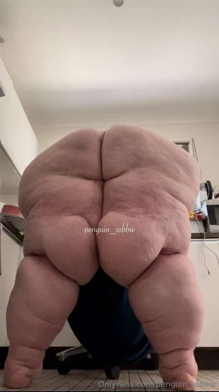ssbbw penguin
