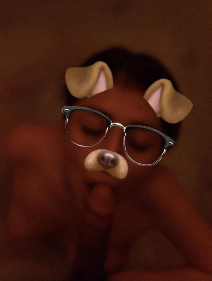 cute playful naughty puppy