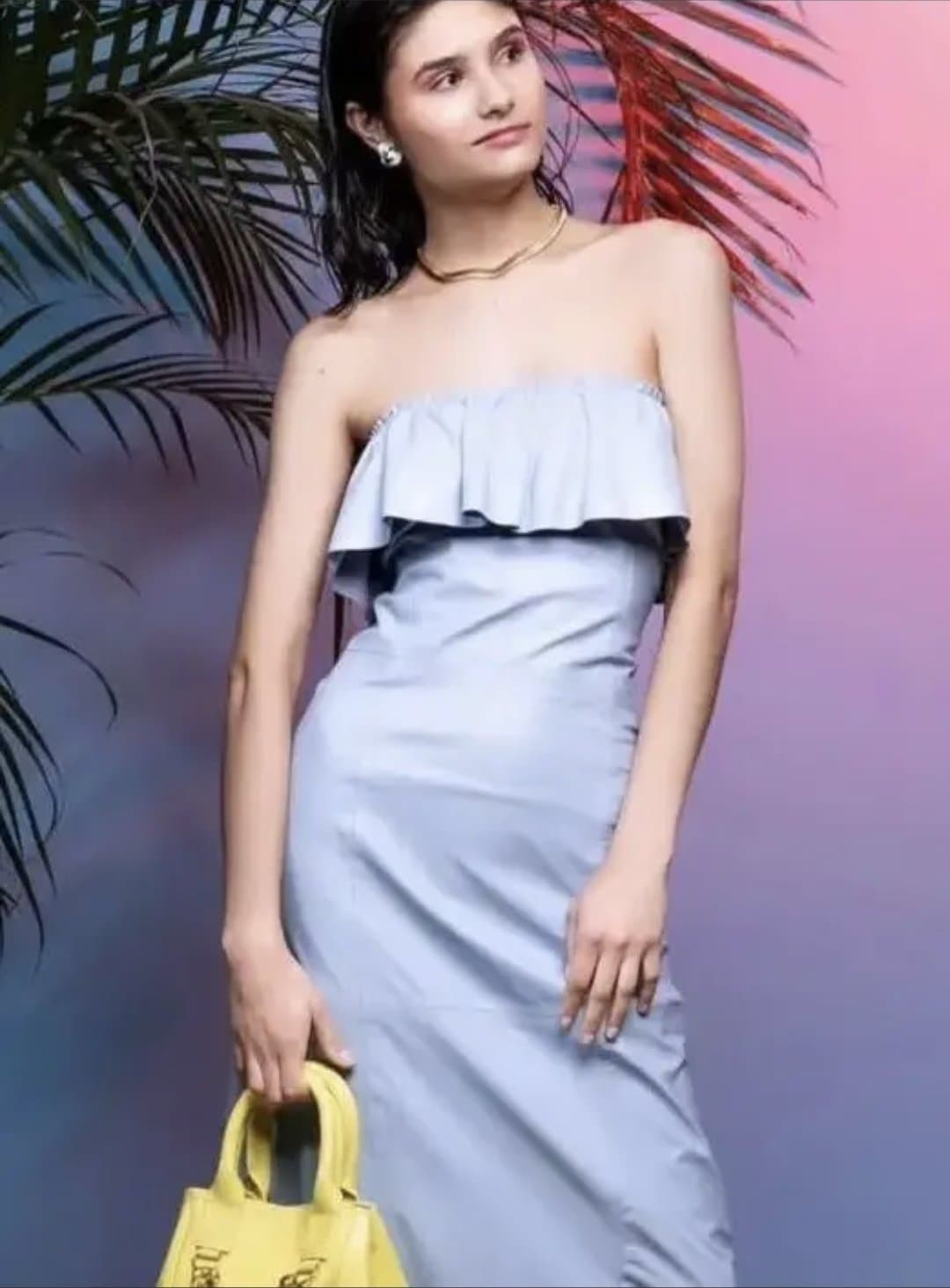 Flora, gata peludinha de Curitiba