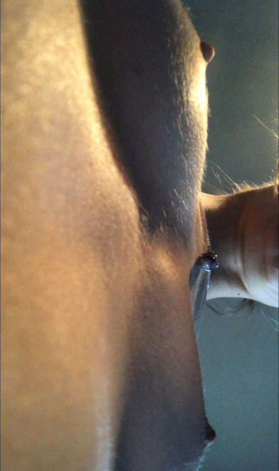 Anorexic Amanda F. and her bald bulging pussy on full display ?