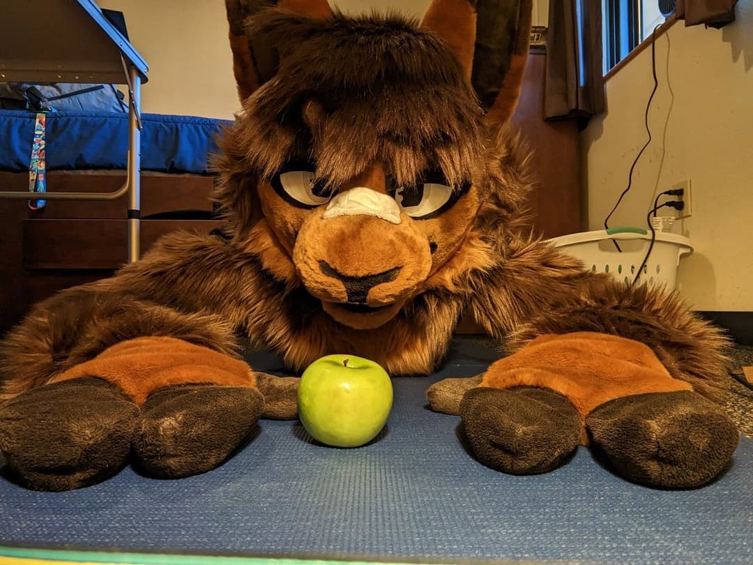 [FURRY] hot bi/pan furry femboy twink (žûřùźûķîìń/jëșśäbřêéďêř)