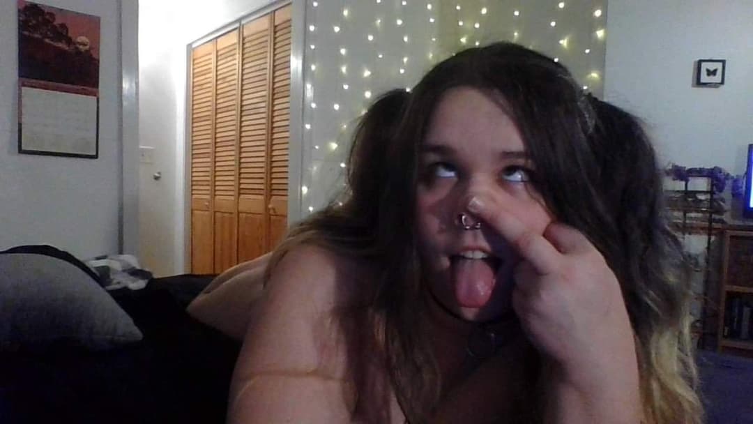 pig dumb ugly disgrace