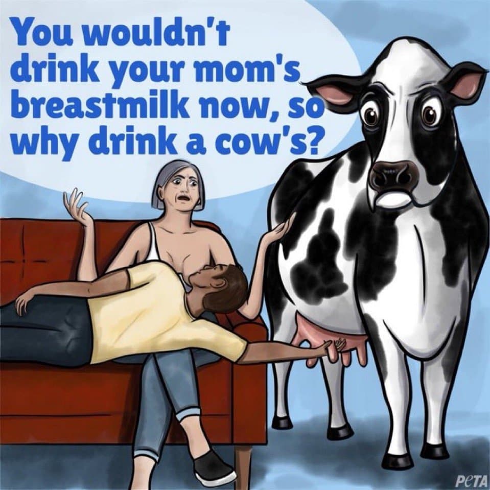 Breast milk