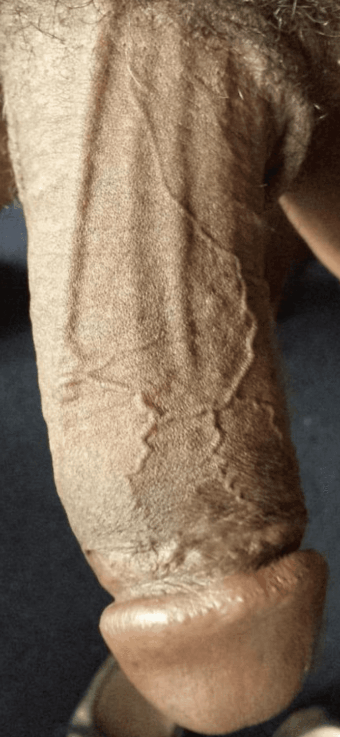 Chicago mulatto dick #enonysex #blackdick getting my dick sucked