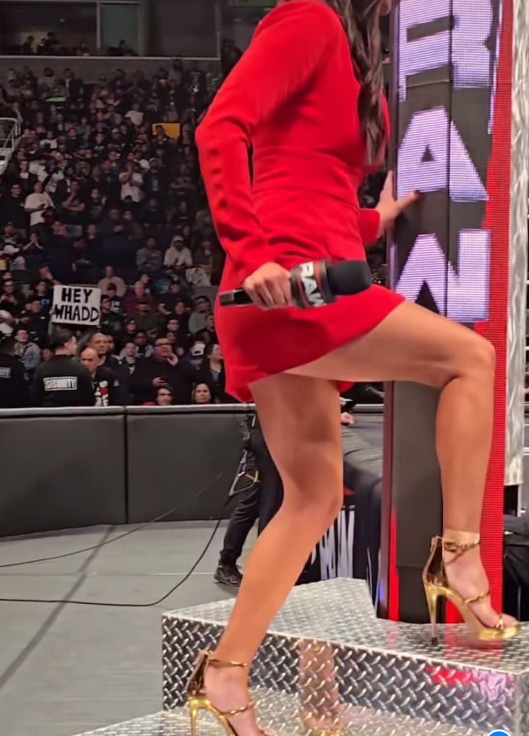 Jackie Redmond hoping everyone is in the crowd is looking up her dress. Fucking slut