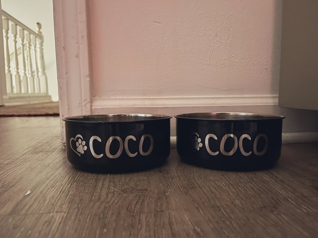 Black Pet Slave Raceplay