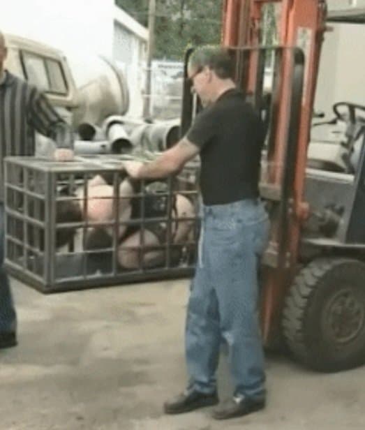 TOTALLY HELPLESS ! BONDAGE WHORES AND WEB SEX DOLLS