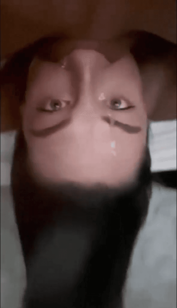 brunette babe gets throat fucked