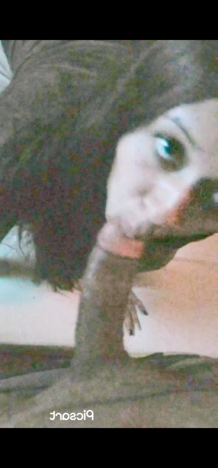 Good dick sucking. Wet pussy. Boobs titties. Hot milf