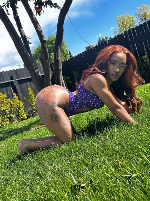 Click to view full size Throw It Back