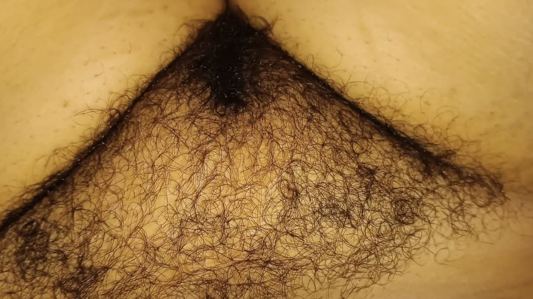 Hairy bush my wife