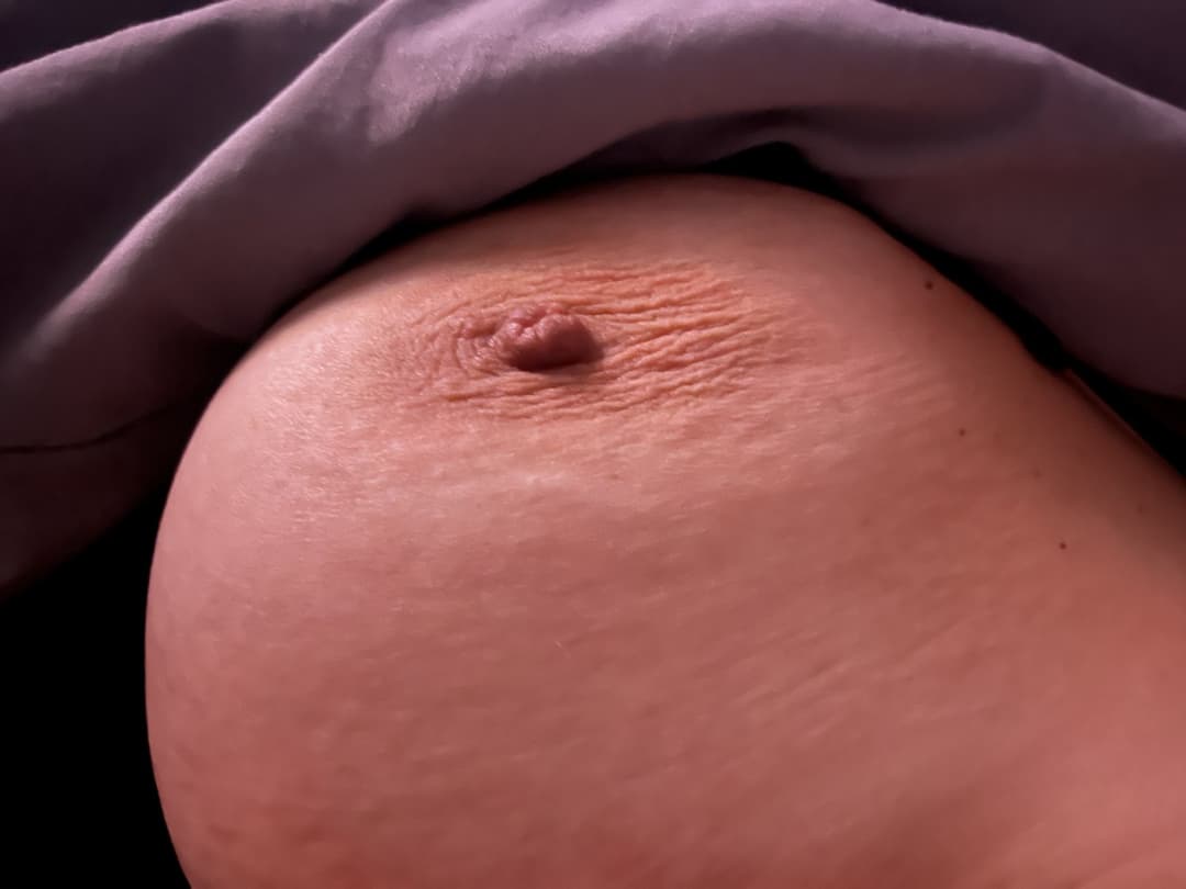 Perfect Natural Tits Boobs