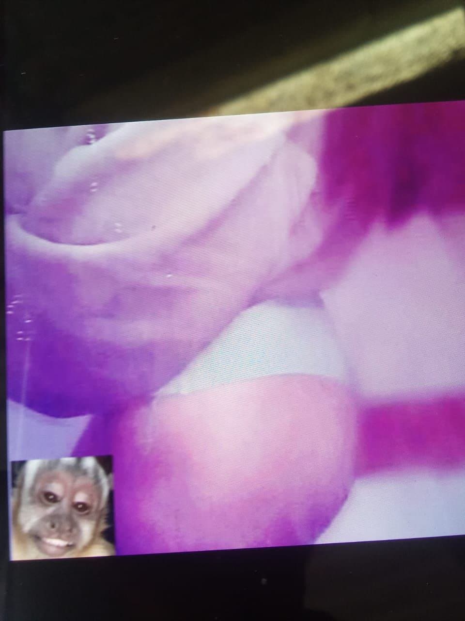 Perra culona ayúdenme a mandarle soli y decirle de todo ala perra y si si me ayudan mandan cap