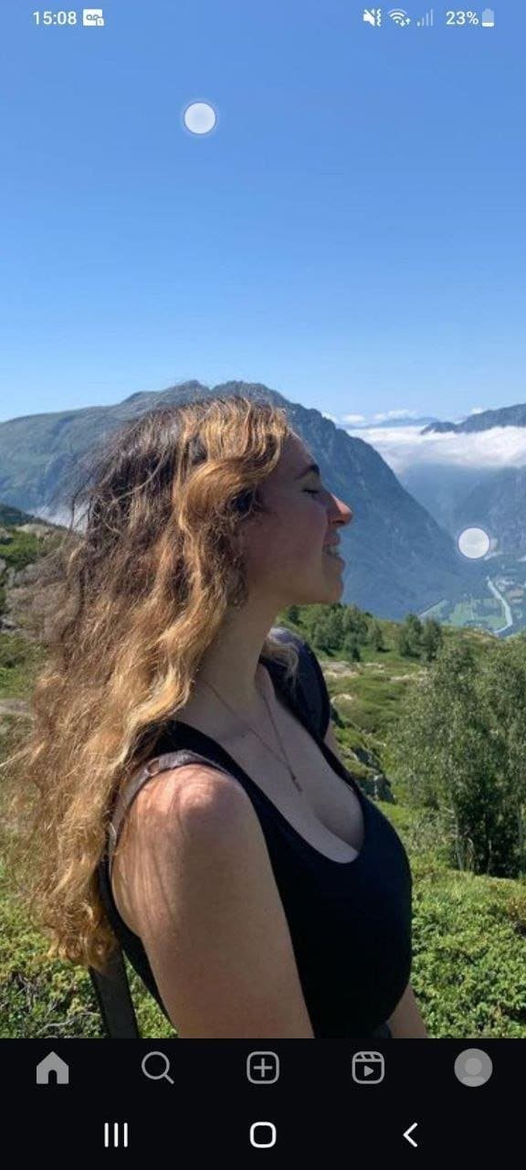 Chienne française exposé