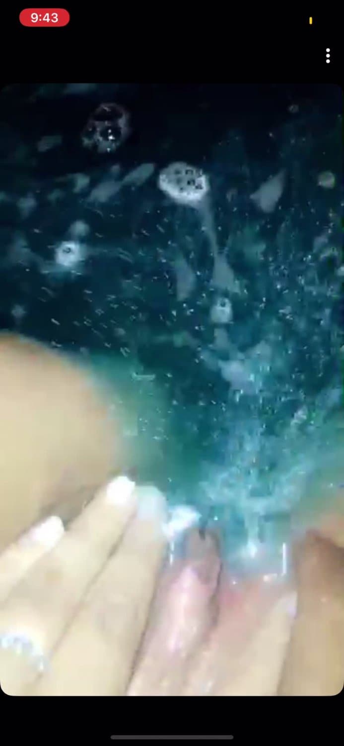 Lex - Denver Colorado